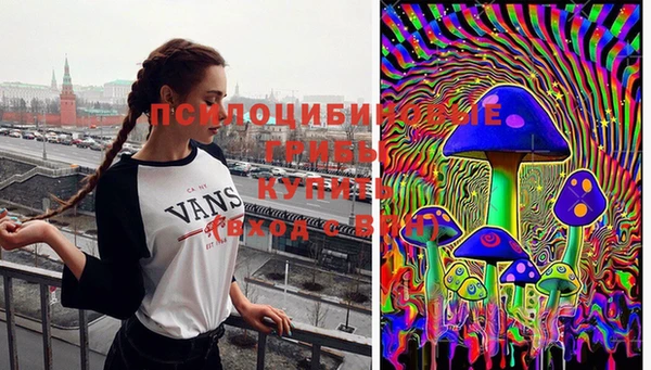 гидропоника Абинск