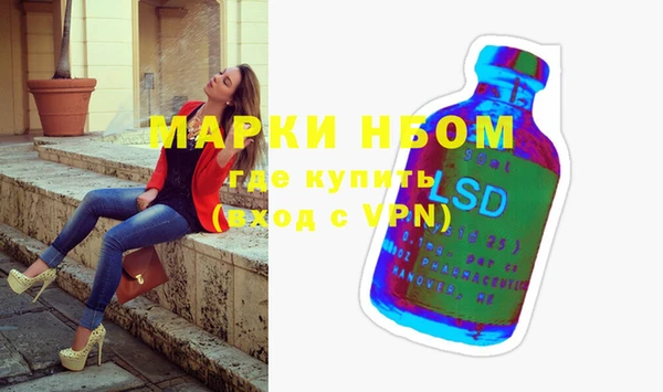 сатива Абаза