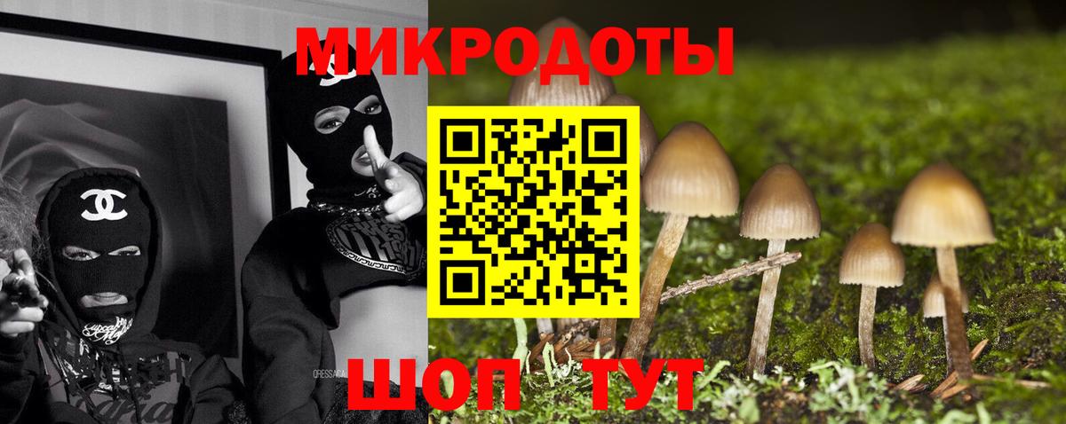 Псилоцибиновые грибы мухоморы Богданович