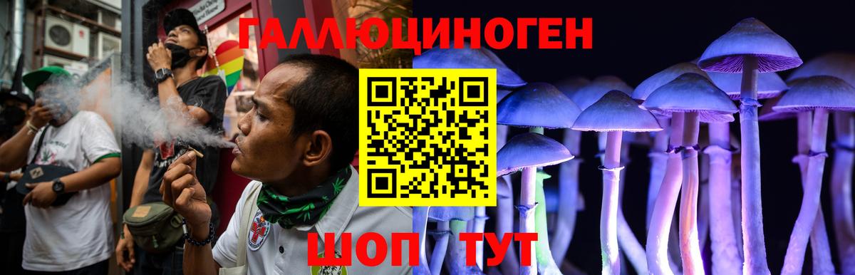 Галлюциногенные грибы MAGIC MUSHROOMS  Вход с VPN  Богданович 