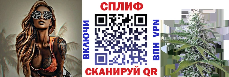 Бошки марихуана конопля  Богданович 